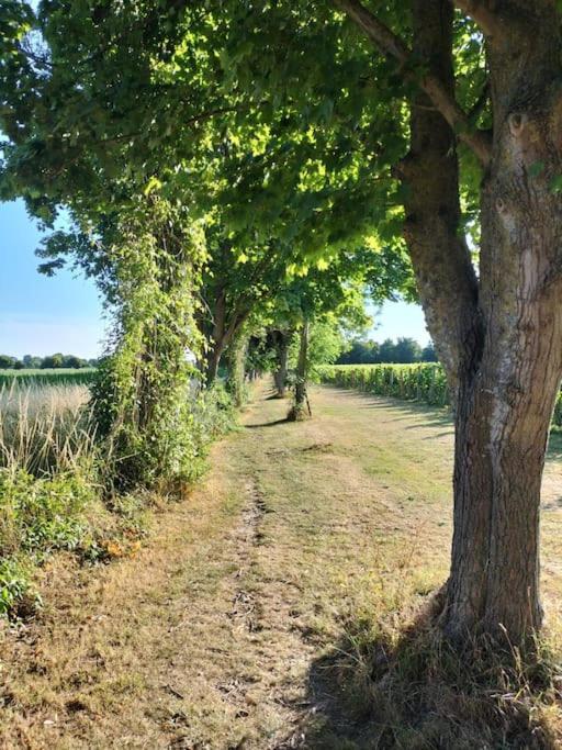 Cosy Cottage With Vineyard View Near Goodwood Chichester Eksteriør bilde